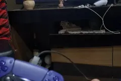 Controle-DualSense-Chroma-Teal-para-PS54