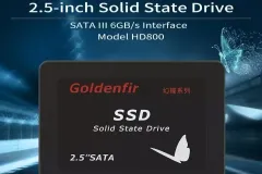SSD-Goldenfir-512GB-HD8001